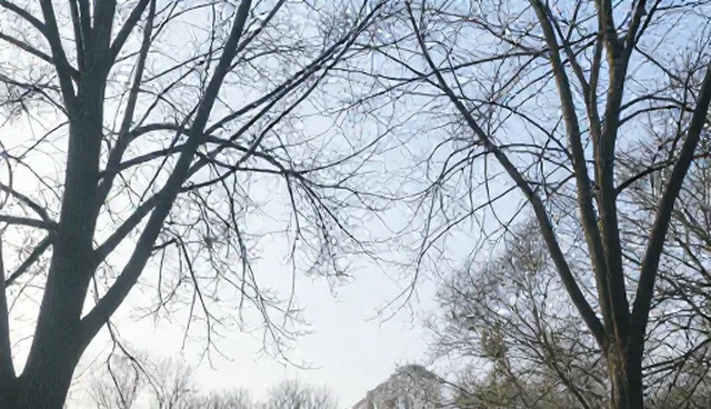 社交媒体运营服务选型与维护建议